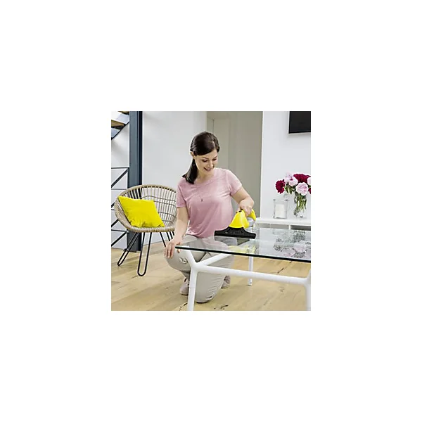 Nettoyeur de vitres Karcher WV1 +