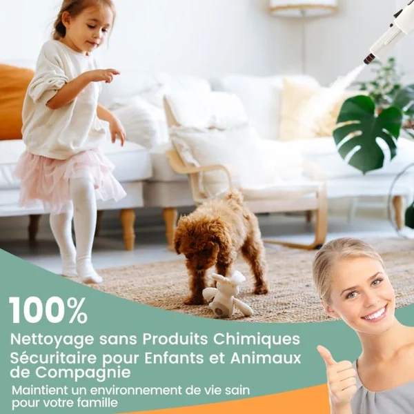 Nettoyeur Vapeur Portatif Nettoyeur Vapeur Sous Pression 1400W Vapeur Continue Illimitée Réservoir d’Eau 400 ml Bleu/Vert/Gris/Jaune