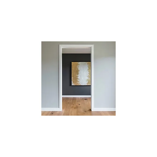 Nez de cloison aluminium blanc 10 x 78 mm L.2,6 m