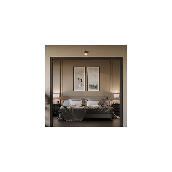 Nez de cloison aluminium noir 10 x 74 mm L.2,6 m