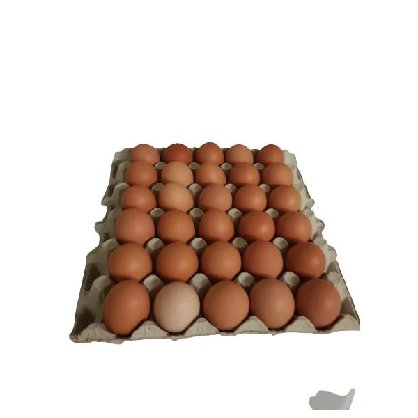 Oeuf - Vrac