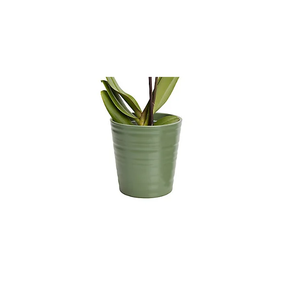 Orchidée 1 tige avec pot en céramique 12cm, Assortiment