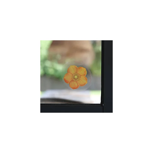 Pack 4 Adhésifs anti-mouches insecticides Kapo exports motif fleurs orange