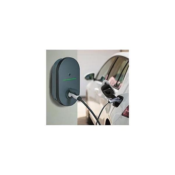 Pack borne de recharge pour voiture électrique Legrand Green up Home - prêt à poser