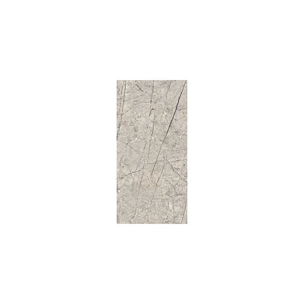 Pack de 2 panneaux muraux de salle de bains l.100 x H.210 cm, effet pierre greige-veiné , Schulte DécoDesign Décor