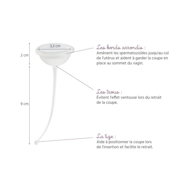 Pack FERTI-LILY Coupe + Gel