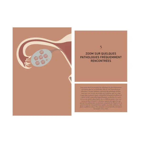 Pack Thermomètre Cyclotest Lady + Manuel pour une fertilité émancipée