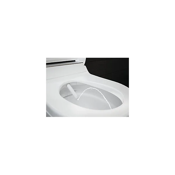 Pack WC japonais lavant suspendu Geberit Laita Premium Rimfree