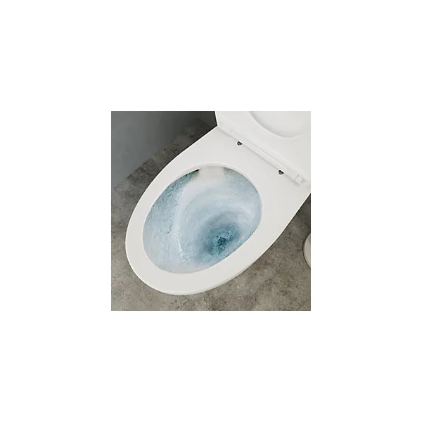 Pack WC à poser avec cuvette, abattant et réservoir, GoodHome Kentia