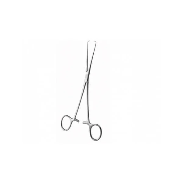 Pince Pozzi-Palmer 22 cm