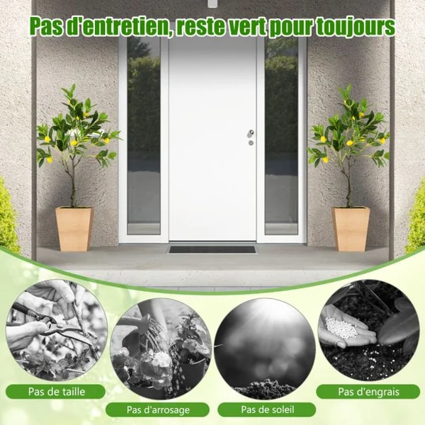 Plante Artificielle de 80CM avec Pot Rempli de Ciment Citronnier Artificiel avec Plante Verte Tronc Réaliste Mousse Simulée Fausse