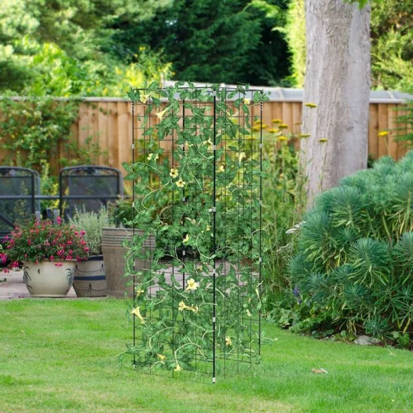 Plante Grimpante de Jardin 2 Pièces Support de Croissance pour Plantes Grimpantes Légumes Fruits