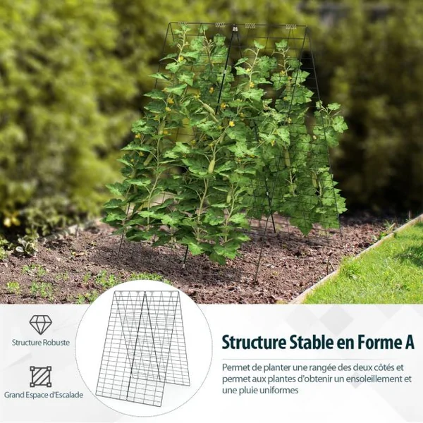 Plante Grimpante de Jardin 2 Pièces Support de Croissance pour Plantes Grimpantes Légumes Fruits