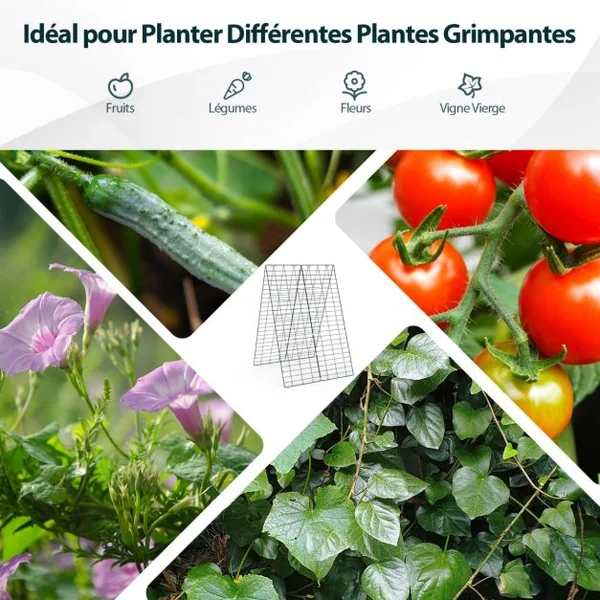 Plante Grimpante de Jardin 2 Pièces Support de Croissance pour Plantes Grimpantes Légumes Fruits