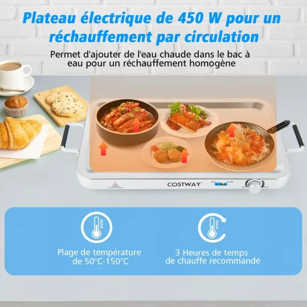 Plateau Chauffant Électrique 2 en 1 de 450 W Capacité de 9L Argent