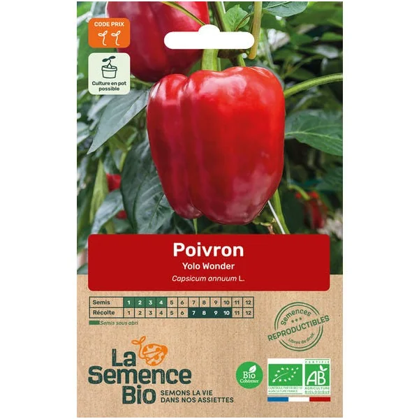 Poivron yolo wonder semence 0.18g