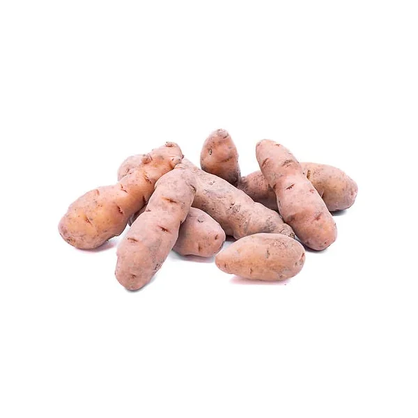 Pomme de terre Ferme Corne de Gatte