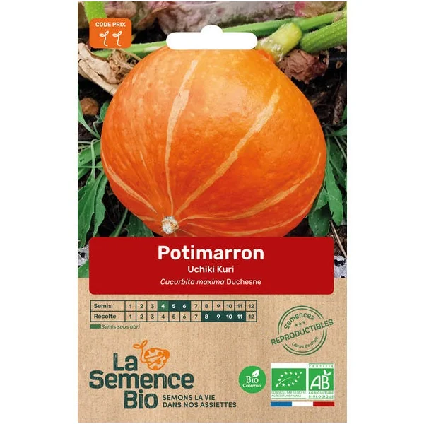 Potimarron Uchiki Kuri semence 4g