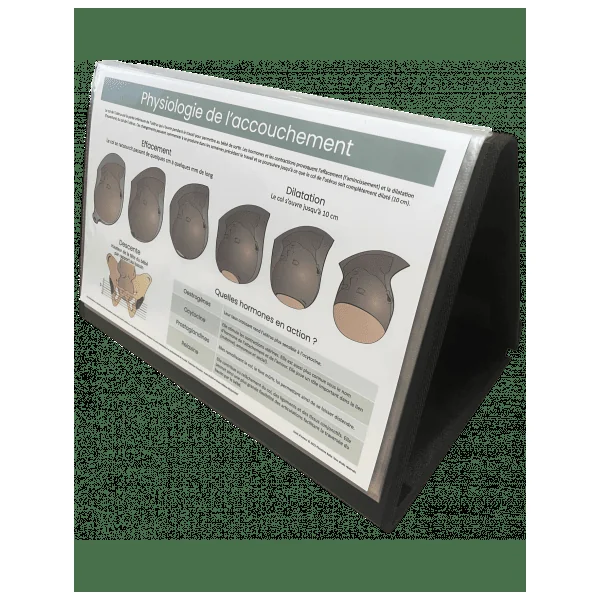 Présentoir pliable pour poster