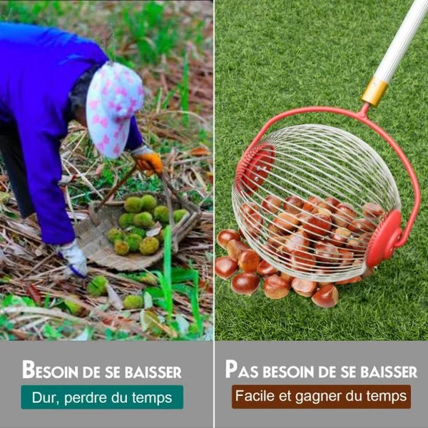 Ramasseur de Noix avec Tige Télescopique 70-128CM en Aluminium et Panier de Collecteur en Acier pour Les Noix Pacanes Pruneaux Golf