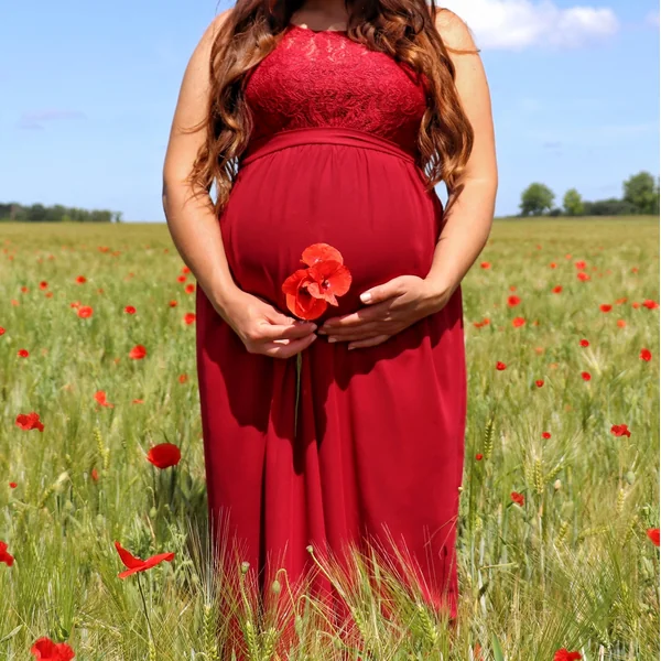 Robe de grossesse Tiffany pour soirée et shooting photo - Reste 1M