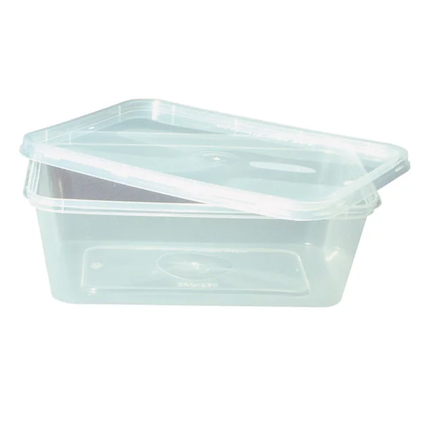 RÉCIPIENTS RECTANGULAIRES 750 ML 17,5x12x5,3 CM TRANSPARENT PP (500 UNITÉ) - Garcia de Pou