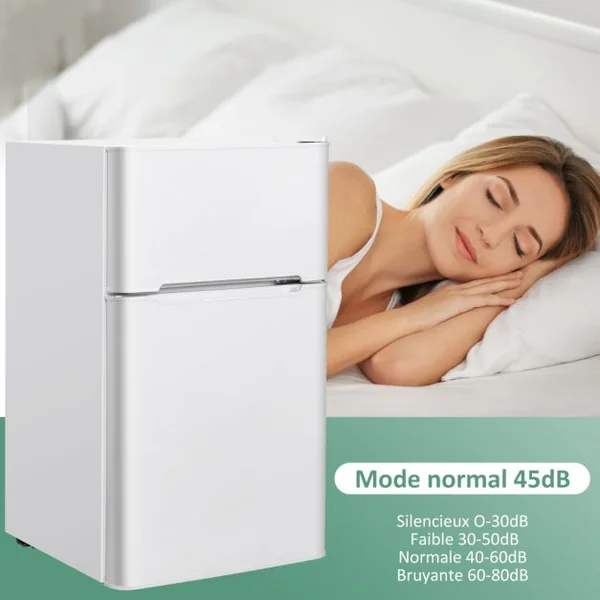 Réfrigérateur Compact Mini-réfrigérateur 90 L Congélateur Séparé avec Design à 2 Portes Fonctionnement Silencieux Blanc/Gris/Noir