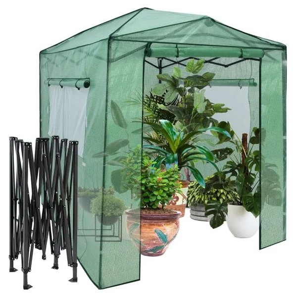 Serre de Jardin Portable avec 2 Larges Fenêtres Observation Tente pour Plantes Porte Enroulable à Double Fermeture Éclair 180 x 250CM