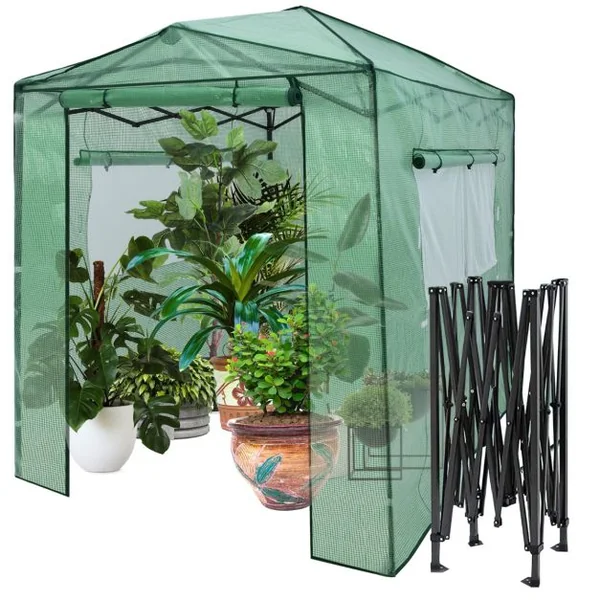 Serre de Jardin Portable avec 2 Larges Fenêtres Observation Tente pour Plantes Porte Enroulable à Double Fermeture Éclair 180 x 250CM