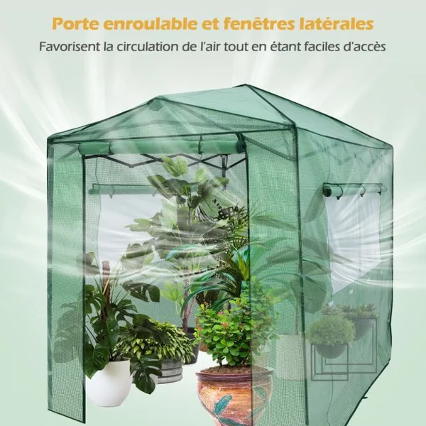 Serre de Jardin Portable avec 2 Larges Fenêtres Observation Tente pour Plantes Porte Enroulable à Double Fermeture Éclair 180 x 250CM