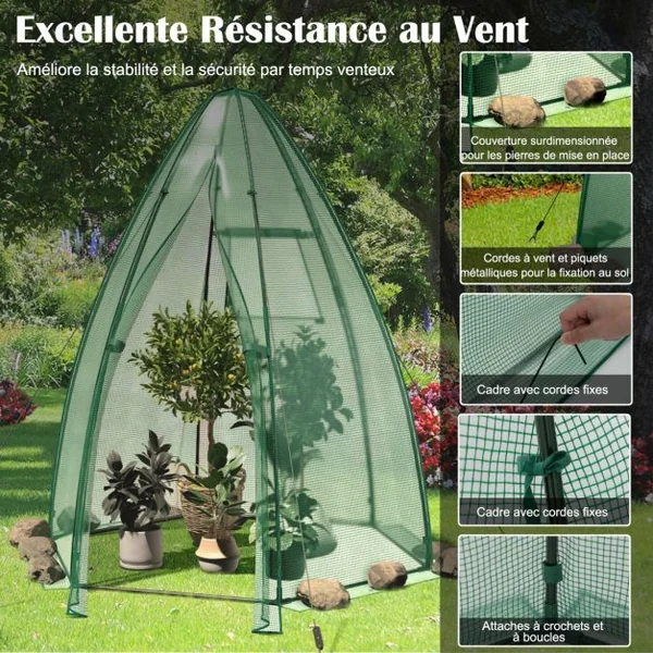 Serre de Jardin Portable Housse en PE 160x160x183cm avec Porte Enroulable Fenêtre en Treillis Etanche Cadre en Acier Vert