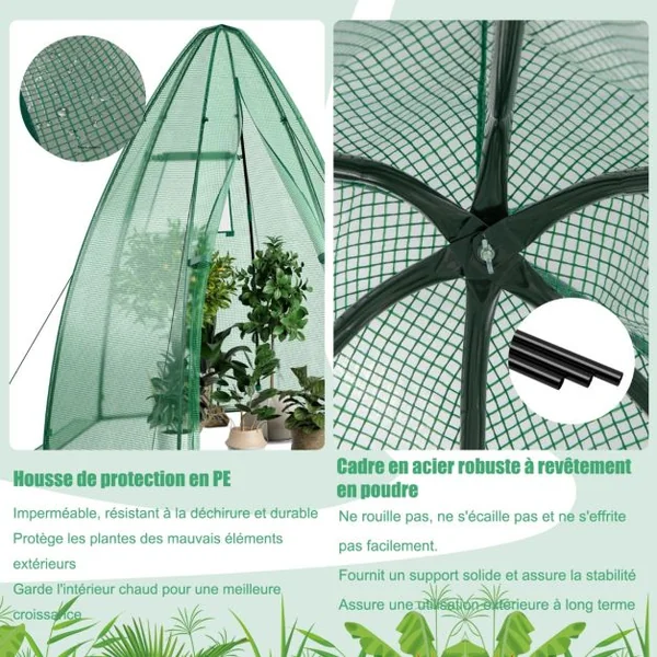 Serre de Jardin Portable Housse en PE 160x160x183cm avec Porte Enroulable Fenêtre en Treillis Etanche Cadre en Acier Vert