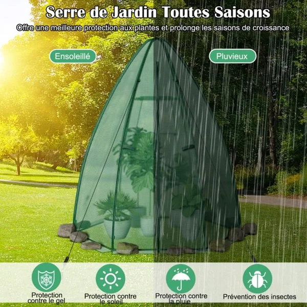 Serre de Jardin Portable Housse en PE 160x160x183cm avec Porte Enroulable Fenêtre en Treillis Etanche Cadre en Acier Vert