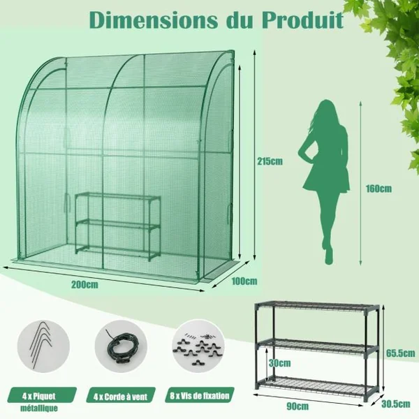 Serre de Plain-pied Inclinée en PE 200*100*215cm avec Étagère à Plantes 3 Niveaux 2 Portes Zippées Imperméable Cadre en Acier Vert
