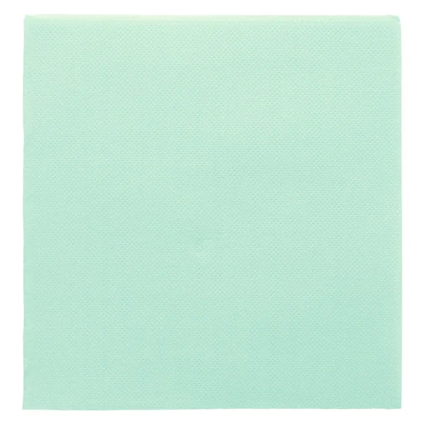 SERVIETTES ECOLABEL "DOUBLE POINT" 18 G/M2 33x33 CM VERT D"EAU OUATE (1200 UNITÉ) - Garcia de Pou