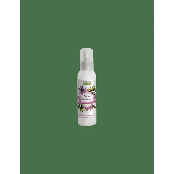 Spray d'ambiance (Le flacon de 100 ml)