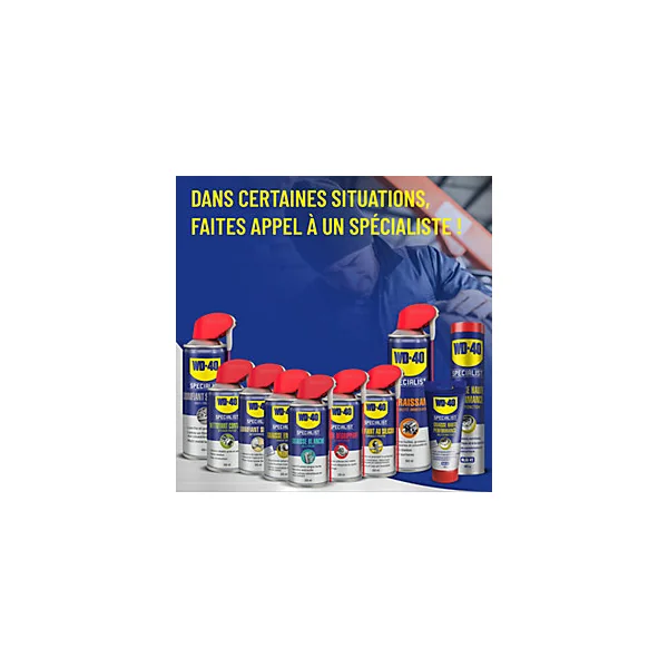 Super Dégrippant WD-40 Specialist 250ml