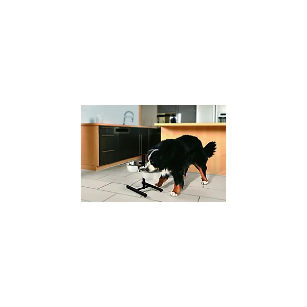Support réglable pour 2 bols 2,5L en inox pour chiens