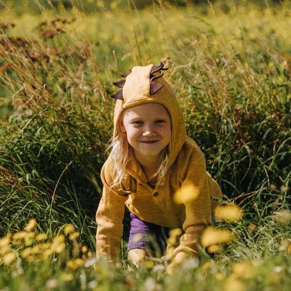 Sweat Dinos ManyMonths - Sweat à capuche en laine mérinos