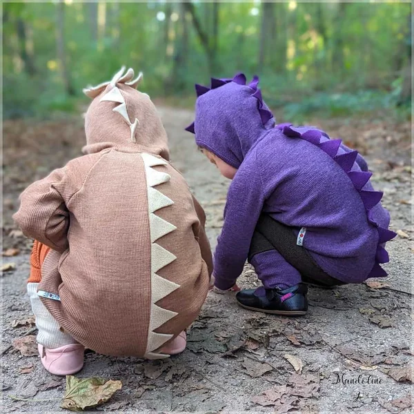 Sweat Dinos ManyMonths - Sweat à capuche en laine mérinos