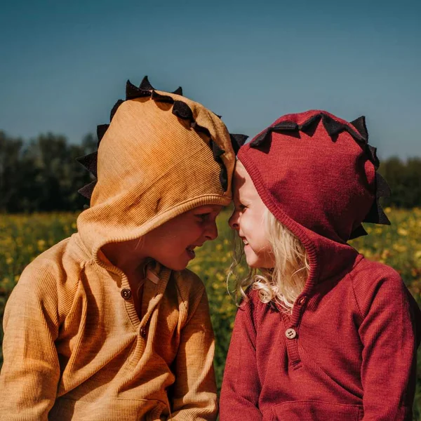 Sweat Dinos ManyMonths - Sweat à capuche en laine mérinos
