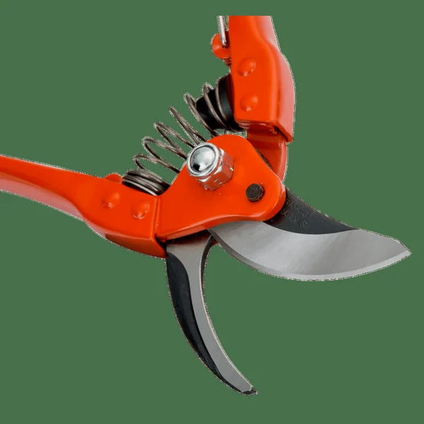 Sécateur pro pour taille et formation - ceps de vigne 230 mm