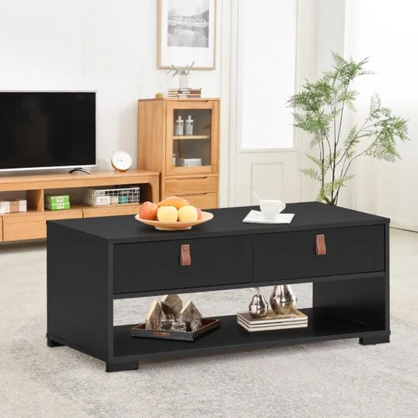 Table Basse Industrielle 100 x 44 x 41 cm (L x l x H) 2 Tiroirs et Étagère de Rangement Noir