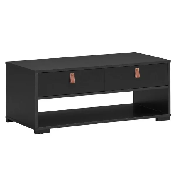 Table Basse Industrielle 100 x 44 x 41 cm (L x l x H) 2 Tiroirs et Étagère de Rangement Noir