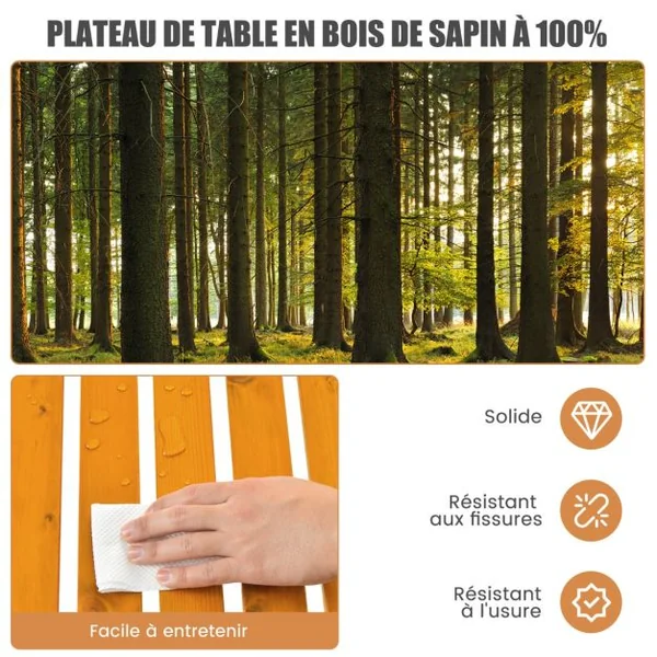 Table de Camping Pliante avec Sac de Transport pour Pique-nique Plage Barbecue Camping Pêche Naturel/Gris