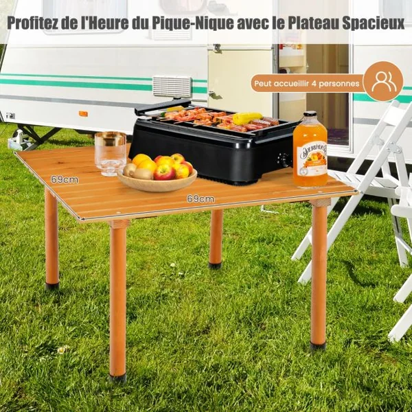 Table de Camping Pliante avec Sac de Transport pour Pique-nique Plage Barbecue Camping Pêche Naturel/Gris