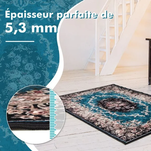 Tapis Imprimé en Velours Doré Diamant Surface Anti-bouloche et Dessous Antidérapant Tapis Traditionnel
