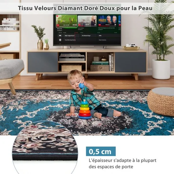 Tapis Imprimé en Velours Doré Diamant Surface Anti-bouloche et Dessous Antidérapant Tapis Traditionnel pour Salon