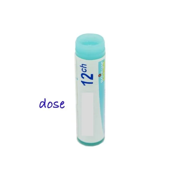 Thuya occidentalis dose, 4 à 30CH - Boiron