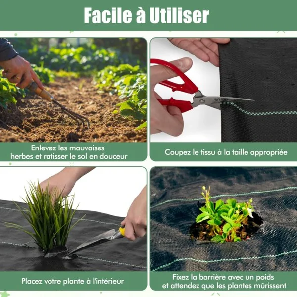 Toile de Paillage Contre les Mauvais Herbes 1Mx50M Tapis en Tissu Anti-mauvaises Herbes de Jardin en PP avec Ligne de Guidage Noir